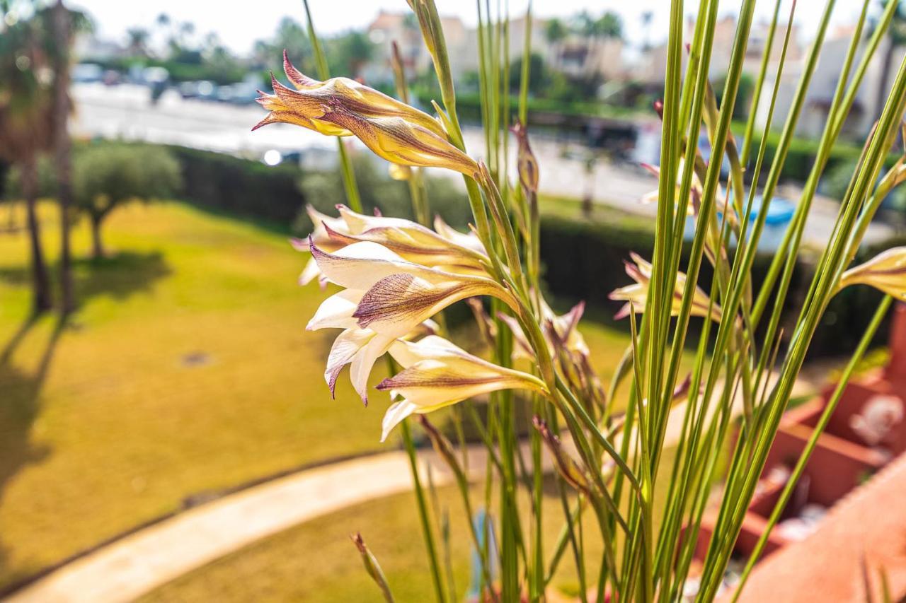 Vera Buda Natura. Atico Apartamento Con Vistas Al Mar. Playas de Vera Exteriér fotografie